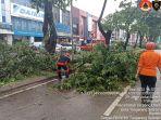 Pohon-tumbang-di-Jalan-Jalur-Alam-Sutera-Pakualam-Serpong-Utara-Tangsel-Sabtu-17122022.jpg