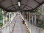 Seorang-pria-diduga-buang-air-besar-BAB-di-JPO-kawasan-Semanggi-Setiabudi.jpg