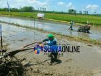 balap-traktor-mojokerto_20180408_194110.jpg