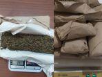 barang-bukti-ganja-yang-berhasil-diamankan-polres-metro-bekasi-kota.jpg