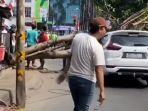 bekasi-pohon-tumbang.jpg