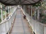 detik-detik-seorang-pria-buang-air-besar-BAB-di-atas-JPO-Semanggi.jpg