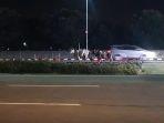 dua-ekor-sapi-berkeliaran-di-kawasan-bandara-soekarno-hatta-pasca-truk-pengakut-hewan-kecelakaan.jpg