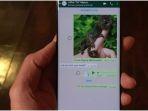 fitur-hapus-pesan-di-whatsapp.jpg