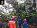 hujan-deras-pohon-tumbang-di-jakarta-selatan.jpg