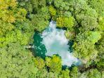 hutan22222222222222222.jpg