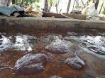 kampung-cacing_20180226_144228.jpg