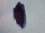 lubang-tahanan-kabur_20180623_103205.jpg