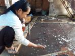 pencari-cacing_20180226_135700.jpg