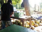 penjual-kelapa_20180216_175925.jpg