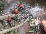 petugas-mencabuti-sampah-yang-tersangkut-di-pohon-loa-di-bantaran-sungai-ciliwung.jpg