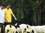 presiden-jokowi-dan-ketua-umum-golkar-airlangga-hartarto_20180324_162922.jpg