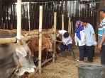 sejumlah-petugas-dari-sudin-kpkp_20180808_122507.jpg