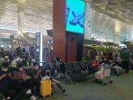 sikon-terminal-3.jpg