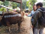 tempat-penjualan-hewan-kurban-dikelola-andri-di-jalan-raya-condet-batu-ampar-kramat-jati.jpg