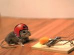tikus-jebakan-listrik_20180326_152735.jpg