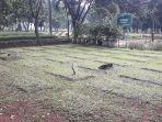 tpu-kampung-kandang-di-blade-tragedi-bintaro-1987-jagakarsa-1.jpg