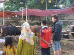warga-melihat-lihat-sapi-yang-dijual-di-lapak-pedagang-jalan-pegangsaan-dua-kelapa-gading.jpg