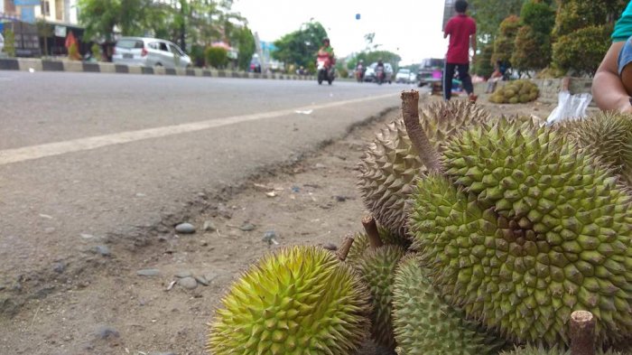 Bermanfaat Meningkatkan Energi, Berbahayakah Makan Durian Terlalu Banyak?