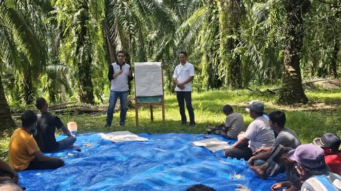 Program Sawit Terampil membantu petani meningkatkan produktivitas, memenuhi regulasi, dan mengakses pasar bersertifikasi