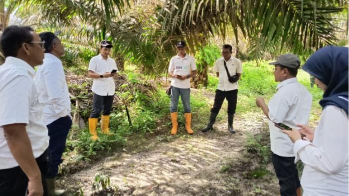 PT Perkebunan Nusantara (PTPN) IV Regional IV yang berada di provinsi Jambi dan Sumatera Barat (Sumbar)  wajib mengutamakan keunggulan operasional atau Operational Excellence dalam aktivitas sehari-hari