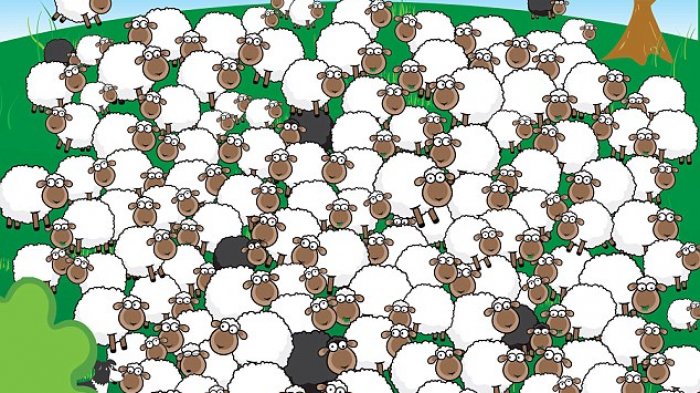 Puzzle Rumit Menantang! Coba Temukan Domba yang Sedang Tidur Siang, Berapa Lama Anda Menemukannya?