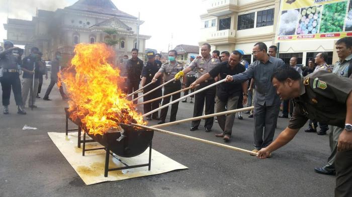 GALERI FOTO: 54 Kg Ganja dari Aceh Dibakar