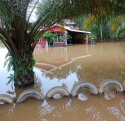 16 Desa Terdampak Banjir di Kabupaten Batanghari, Berangsur Surut, TMA Terpantau Alami Penurunan