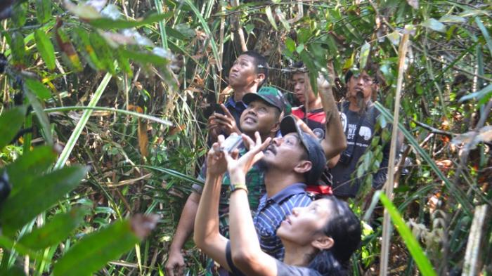 Status Anggrek di Pematang Damar tak Ada Titik Terang