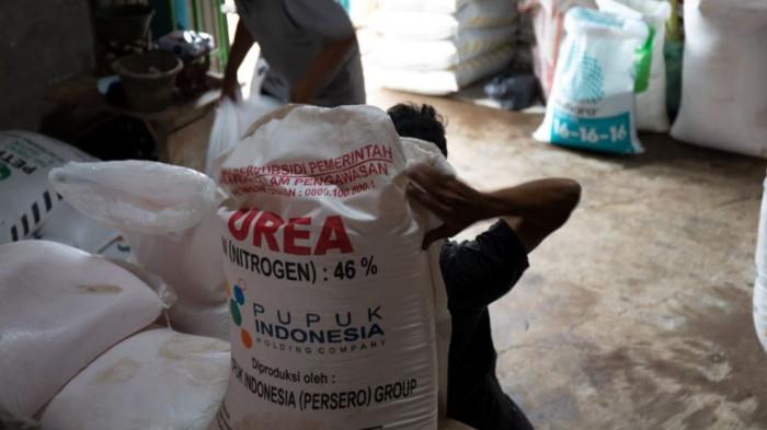 Daftar Harga Pupuk Subsidi Terbaru Usai Diturunkan Presiden Prabowo, Menko Zulhas: Petani Senang