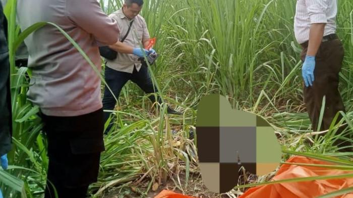 Dendam Membara Suami Siri di Malang Pukul Istri Pakai Balok Kayu, Kubur Jasad di Kebun Tebu