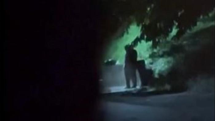 Video dua sejoli terekam sedang melakukan tindakan tak senonoh di ruang publik viral. Pasangan yang oleh warganet dijuluki musang birahi ini tertangkap basah bercumbu di kawasan wisata Danau Sipin, Kota Jambi.