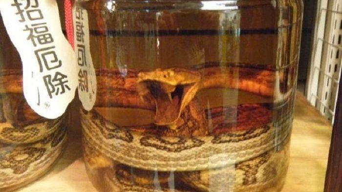 5 Masakan Ekstrem dan Unik Jepang, Bir Ular Berbisa hingga Daging Kuda Mentah