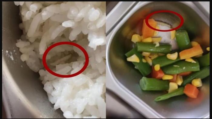 Soal Ulat di Dalam MBG SMKN 2 Jambi, Kepsek: Itu Ulat dari Jatuh Sayur
