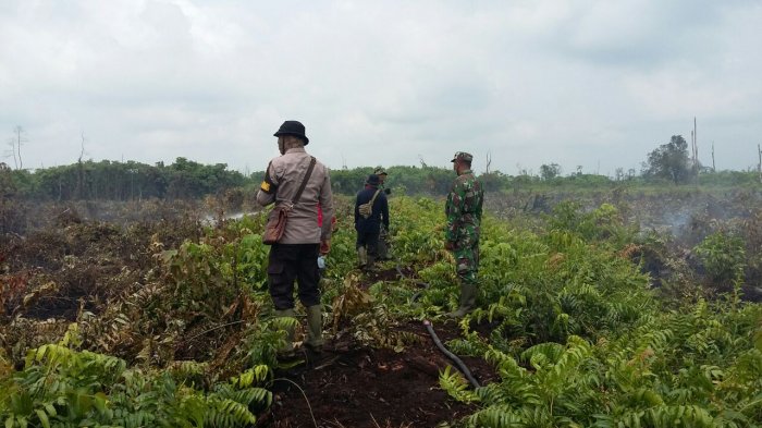 Hingga Saat Ini Tercatat 168 Hektare Lahan dan Hutan yang Terbakar di Provinsi Jambi
