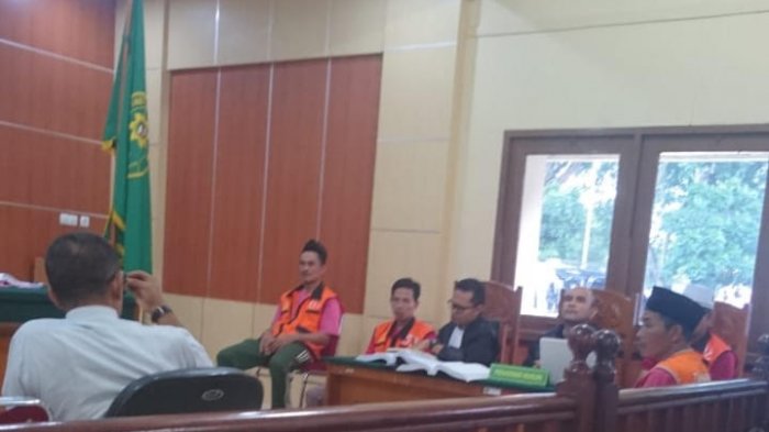 Kasus Perambahan Hutan - Saksi Ahli: Perambahan dan Penggerak Miliki Konsekuensi Hukum yang Sama