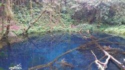 BENING - Air Danau Telaga Biru di Desa Tanjung Alam, Kecamatan Jangkat Timur, Kabupaten Merangin, yang jernih. Ukuran danau ini hanya berdiameter sekira 20 meter.