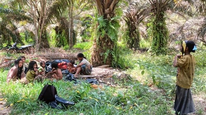 ANAK RIMBA - Anak-anak Orang Rimba di Kampung Pasir Putih, Desa Dwi Karya Bakti, Kecamatan Pelepat, Kabupaten Bungo, Provinsi Jambi, sedang berada di bawah pohon kelapa sawit.