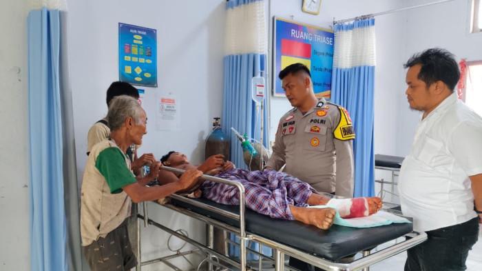 Jeritan Butet Dikeroyok 3 Harimau, Satwa Itu Kabur Setelah Dipukul di Wajah