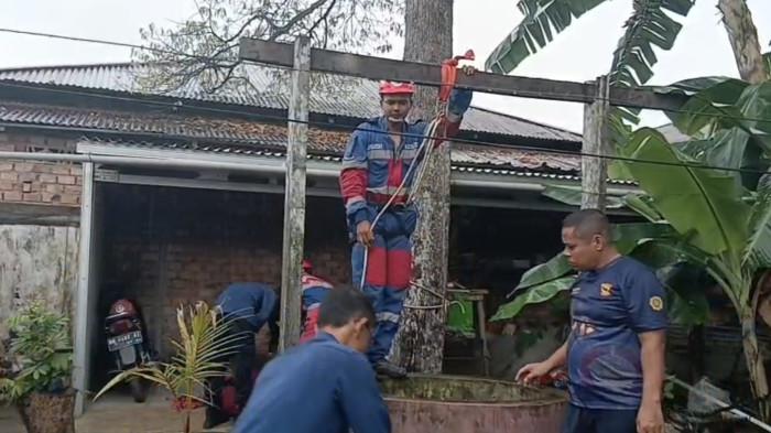 Damkartan Kota Jambi Evakuasi Kucing Terperosok 12 Meter ke Dalam Sumur