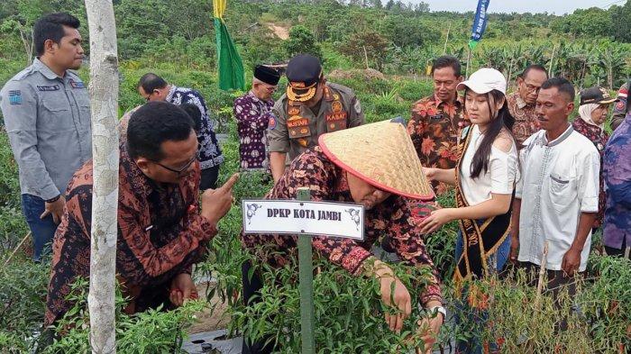 Panen Perdana Gerakan Payo Menanam Cabai, Wali Kota Jambi Harap Inflasi Tak Lagi Tinggi