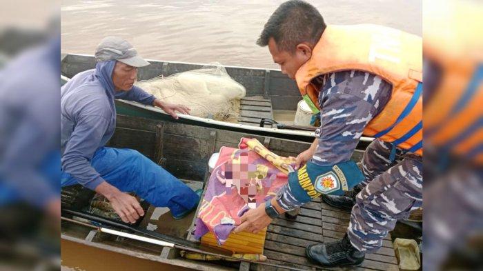 Kronologi Penemuan Jasad Bayi Mengapung di Sungai Batanghari Tanjab Timur Jambi