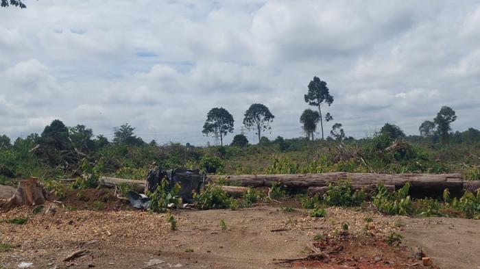 Lahan Sudah Siap, Pembangunan Sekolah Rakyat di Tebo Belum Juga Dimulai