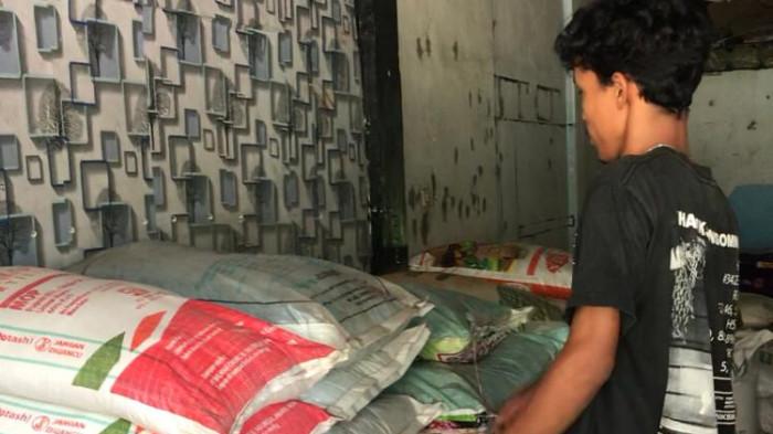 PUPUK NAIK - Harga pupuk di Kabupaten Batang Hari naik signifikan akibat kenaikan harga bahan baku imbas dolar AS naik.