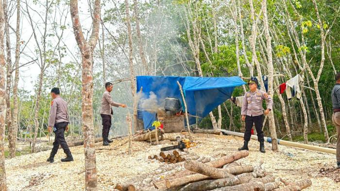 RAZIA PETI - Polsek Rimbo Bujang, Kabupaten Tebo, membakar perala