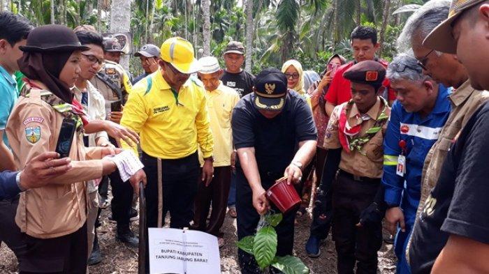 Ribuan Bibit Kopi Liberika Tungkal Ditanam, Petani Tanjab Barat Didorong Ramai-ramai Ikut Budidaya