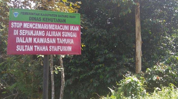 Ada Suku Anak Dalam dan Punya Potensi Hutan, Pemkab Batanghari Ternyata Belum Punya Hutan Adat