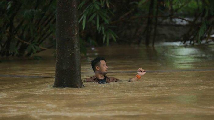 Detik-detik Panji Petualang Lepas King Kobra Garaga yang Selama Ini Dirawatnya, Berenang di Sungai