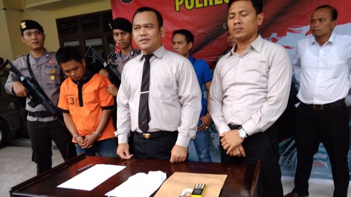 Begini Sosok Pencuri Sapi di Rimbo Bujang, dan Ini Pengakuannya