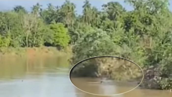 SEBERANGI SUNGAI - Tangkapan layar video penangkapan disertai penembakan terduga bandar narkoba di Bungo saat menyeberangi Sungai Batang Tebo pada 18 Mei 2026 lalu. Ia dikabarkan meninggal dunia. Pada Minggu (24/5/2026), Polres Bungo mengonfirmasi telah disepakati perdamaian.